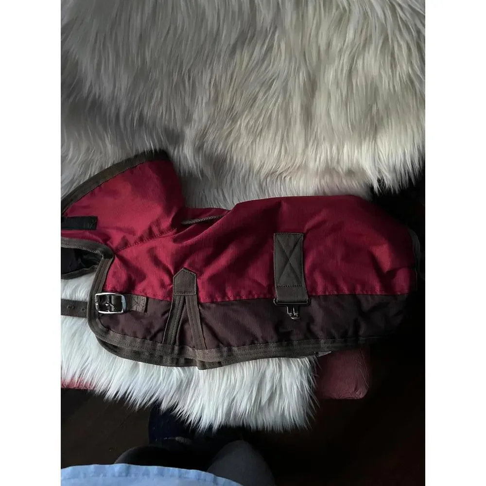 Outdoor Dog Blanket - Stylish and Functional Pet Gear- Size Large